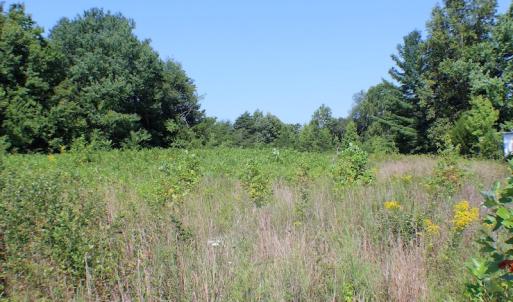 Photo of UNDER CONTRACT!  55.86 Acres of Recreational and Hunting Land For Sale in Goochland County VA!