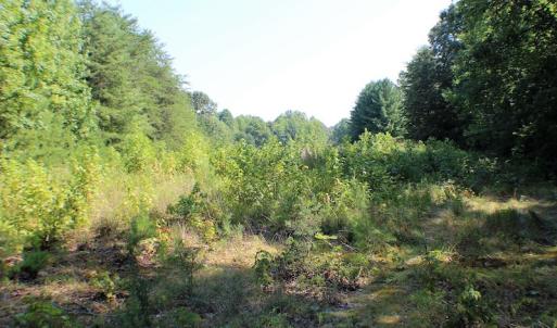 Photo of UNDER CONTRACT!  55.86 Acres of Recreational and Hunting Land For Sale in Goochland County VA!