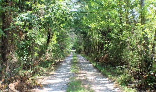 Photo of UNDER CONTRACT!  55.86 Acres of Recreational and Hunting Land For Sale in Goochland County VA!