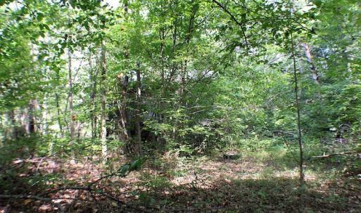 Photo of UNDER CONTRACT!  55.86 Acres of Recreational and Hunting Land For Sale in Goochland County VA!