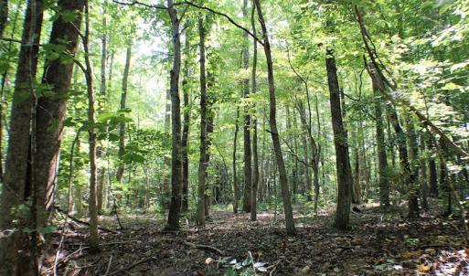 Photo of UNDER CONTRACT!  55.86 Acres of Recreational and Hunting Land For Sale in Goochland County VA!