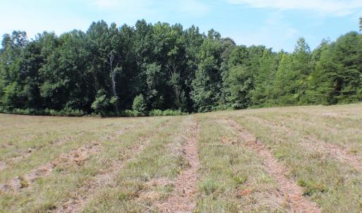 Photo of UNDER CONTRACT!  55.86 Acres of Recreational and Hunting Land For Sale in Goochland County VA!