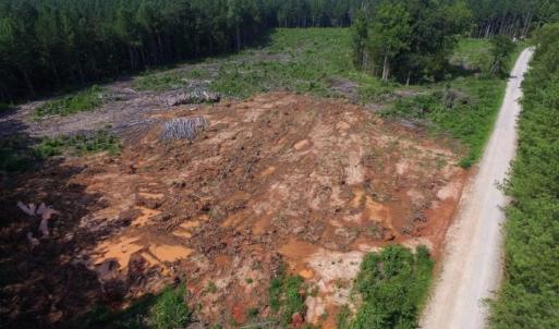 Photo of UNDER CONTRACT!  9.44 Acres of Hunting and Recreational Land For Sale in Lunenburg County VA!