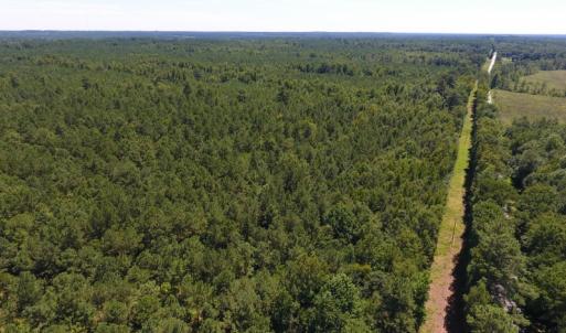 Photo of UNDER CONTRACT!  51.44 Acres of Hunting and Timber Land For Sale in Halifax County NC!