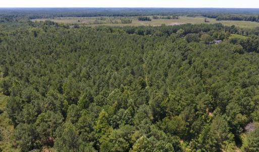 Photo of UNDER CONTRACT!  51.44 Acres of Hunting and Timber Land For Sale in Halifax County NC!