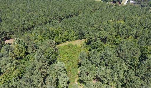 Photo of UNDER CONTRACT!  51.44 Acres of Hunting and Timber Land For Sale in Halifax County NC!