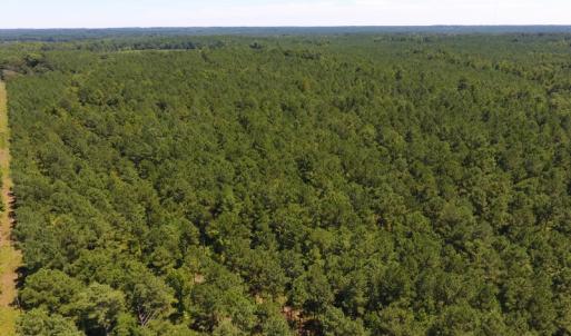 Photo of UNDER CONTRACT!  51.44 Acres of Hunting and Timber Land For Sale in Halifax County NC!
