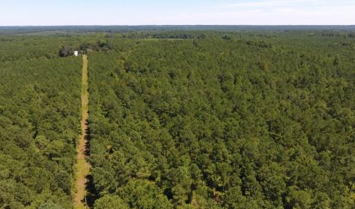 Photo of UNDER CONTRACT!  51.44 Acres of Hunting and Timber Land For Sale in Halifax County NC!