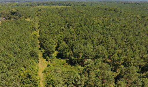 Photo of UNDER CONTRACT!  51.44 Acres of Hunting and Timber Land For Sale in Halifax County NC!