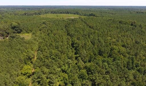 Photo of UNDER CONTRACT!  51.44 Acres of Hunting and Timber Land For Sale in Halifax County NC!