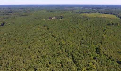 Photo of UNDER CONTRACT!  51.44 Acres of Hunting and Timber Land For Sale in Halifax County NC!