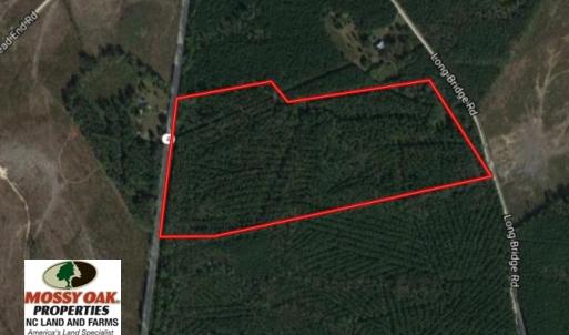 Photo of UNDER CONTRACT!  51.44 Acres of Hunting and Timber Land For Sale in Halifax County NC!