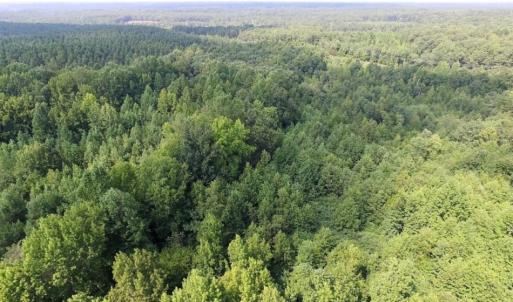 Photo of UNDER CONTRACT!  17 Acres of Hunting and Recreational Land For Sale in Lunenburg County VA!