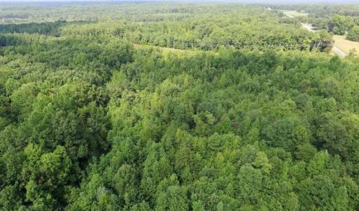 Photo of UNDER CONTRACT!  17 Acres of Hunting and Recreational Land For Sale in Lunenburg County VA!