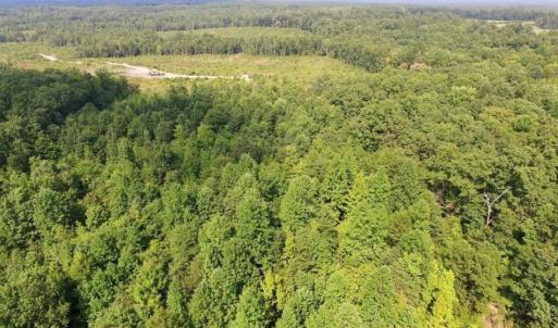 Photo of UNDER CONTRACT!  17 Acres of Hunting and Recreational Land For Sale in Lunenburg County VA!