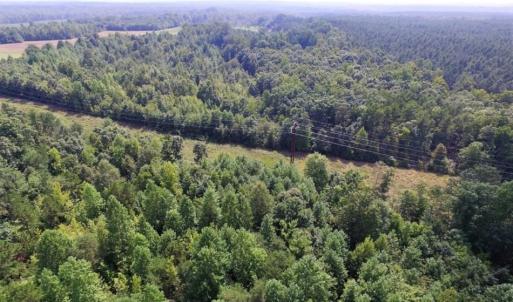 Photo of UNDER CONTRACT!  17 Acres of Hunting and Recreational Land For Sale in Lunenburg County VA!