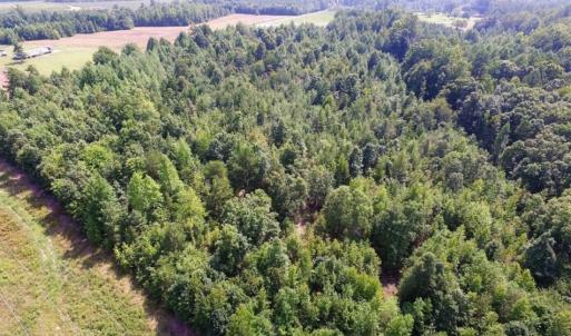 Photo of UNDER CONTRACT!  17 Acres of Hunting and Recreational Land For Sale in Lunenburg County VA!