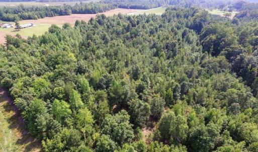 Photo of UNDER CONTRACT!  17 Acres of Hunting and Recreational Land For Sale in Lunenburg County VA!