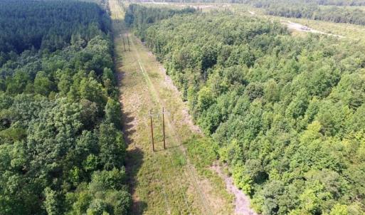 Photo of UNDER CONTRACT!  17 Acres of Hunting and Recreational Land For Sale in Lunenburg County VA!