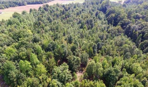 Photo of UNDER CONTRACT!  17 Acres of Hunting and Recreational Land For Sale in Lunenburg County VA!