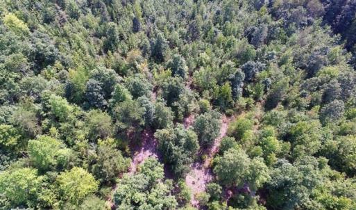 Photo of UNDER CONTRACT!  17 Acres of Hunting and Recreational Land For Sale in Lunenburg County VA!