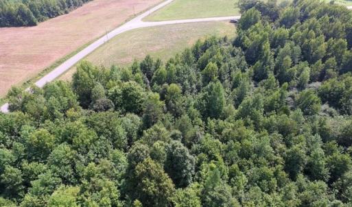 Photo of UNDER CONTRACT!  17 Acres of Hunting and Recreational Land For Sale in Lunenburg County VA!