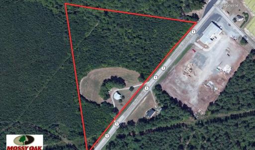 Photo of UNDER CONTRACT!  10 Acres of Residential Timberland Land with Home in Brunswick County VA!