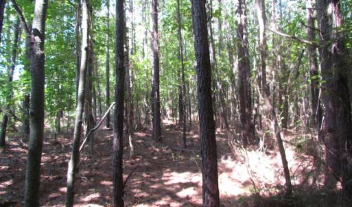 Photo of UNDER CONTRACT!  10 Acres of Residential Timberland Land with Home in Brunswick County VA!