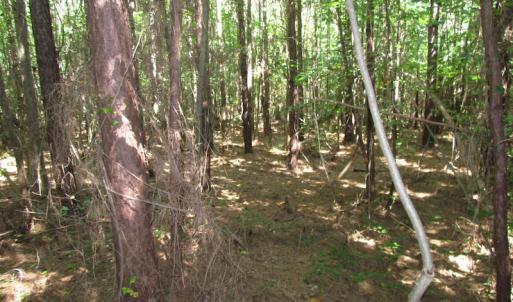 Photo of UNDER CONTRACT!  10 Acres of Residential Timberland Land with Home in Brunswick County VA!