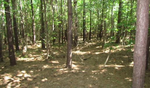 Photo of UNDER CONTRACT!  10 Acres of Residential Timberland Land with Home in Brunswick County VA!