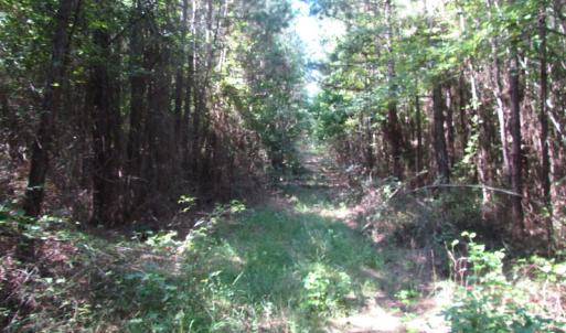 Photo of UNDER CONTRACT!  10 Acres of Residential Timberland Land with Home in Brunswick County VA!