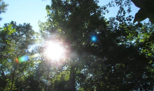 Photo of UNDER CONTRACT!  10 Acres of Residential Timberland Land with Home in Brunswick County VA!