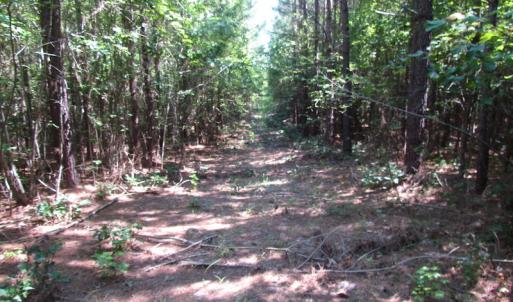 Photo of UNDER CONTRACT!  10 Acres of Residential Timberland Land with Home in Brunswick County VA!