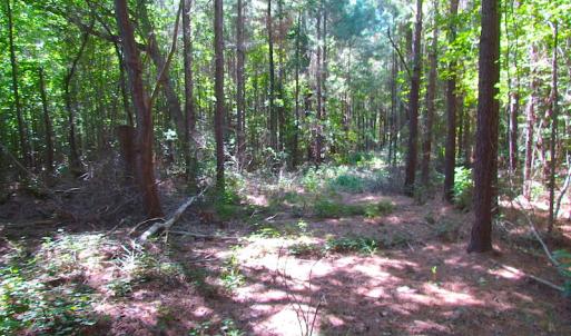Photo of UNDER CONTRACT!  10 Acres of Residential Timberland Land with Home in Brunswick County VA!