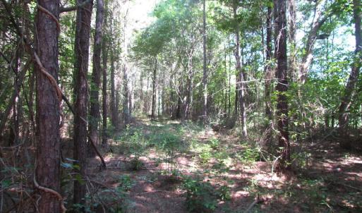 Photo of UNDER CONTRACT!  10 Acres of Residential Timberland Land with Home in Brunswick County VA!
