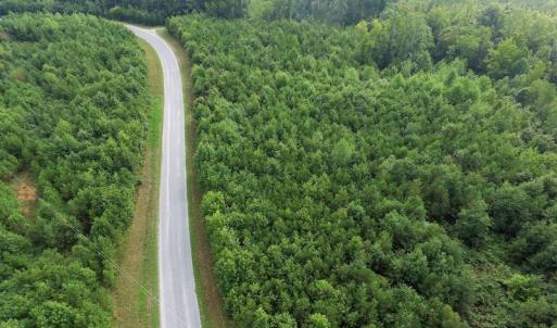 Photo of UNDER CONTRACT!  33.75 Acres of Hunting and Recreational Land For Sale in Brunswick County VA!