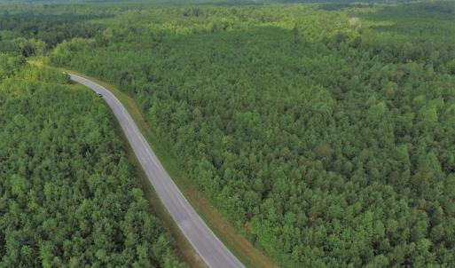 Photo of UNDER CONTRACT!  33.75 Acres of Hunting and Recreational Land For Sale in Brunswick County VA!