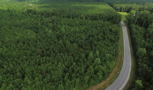 Photo of UNDER CONTRACT!  33.75 Acres of Hunting and Recreational Land For Sale in Brunswick County VA!