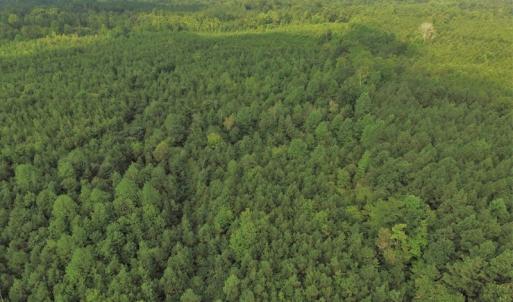 Photo of UNDER CONTRACT!  33.75 Acres of Hunting and Recreational Land For Sale in Brunswick County VA!