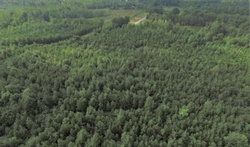 Photo of UNDER CONTRACT!  33.75 Acres of Hunting and Recreational Land For Sale in Brunswick County VA!