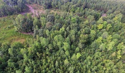 Photo of UNDER CONTRACT!  33.75 Acres of Hunting and Recreational Land For Sale in Brunswick County VA!