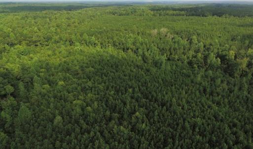 Photo of UNDER CONTRACT!  33.75 Acres of Hunting and Recreational Land For Sale in Brunswick County VA!