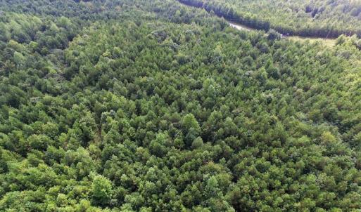 Photo of UNDER CONTRACT!  33.75 Acres of Hunting and Recreational Land For Sale in Brunswick County VA!