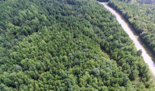 Photo of UNDER CONTRACT!  33.75 Acres of Hunting and Recreational Land For Sale in Brunswick County VA!