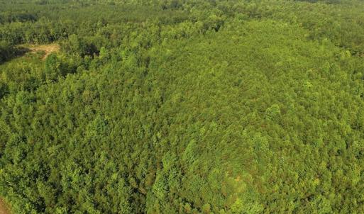 Photo of UNDER CONTRACT!  33.75 Acres of Hunting and Recreational Land For Sale in Brunswick County VA!