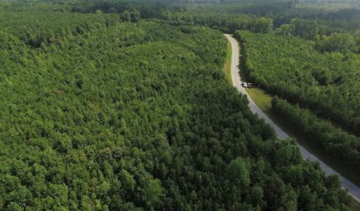 Photo of UNDER CONTRACT!  33.75 Acres of Hunting and Recreational Land For Sale in Brunswick County VA!