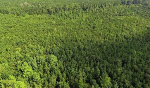Photo of UNDER CONTRACT!  33.75 Acres of Hunting and Recreational Land For Sale in Brunswick County VA!