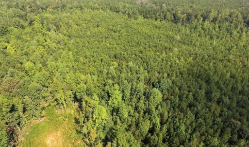 Photo of UNDER CONTRACT!  33.75 Acres of Hunting and Recreational Land For Sale in Brunswick County VA!