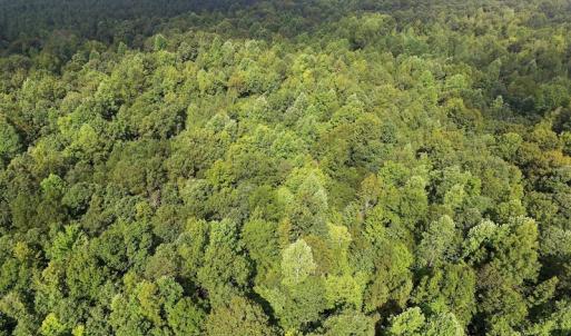 Photo of UNDER CONTRACT!  33.75 Acres of Hunting and Recreational Land For Sale in Brunswick County VA!