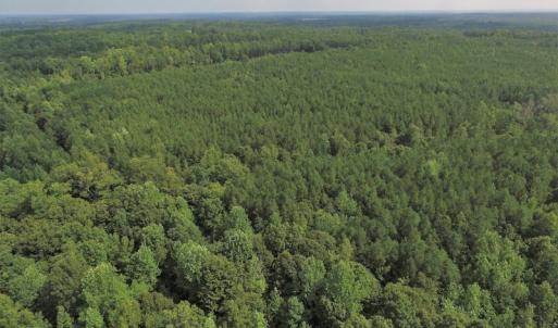Photo of UNDER CONTRACT!  33.75 Acres of Hunting and Recreational Land For Sale in Brunswick County VA!